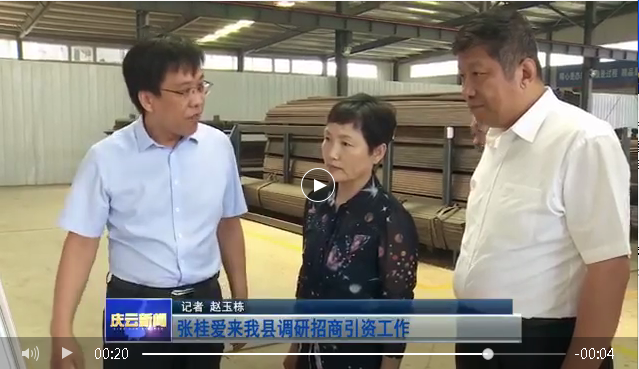 德州市副市長張桂愛調研奧康達體育產業(yè)園